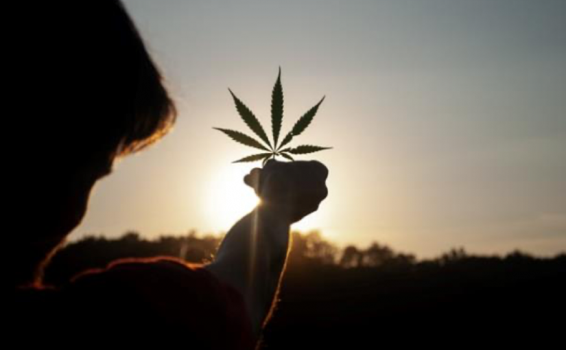 Milliardenmarkt Cannabis: Eine Legalisierung in Deutschland denkbar?