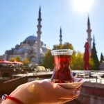 Dass Englisch und Latein...