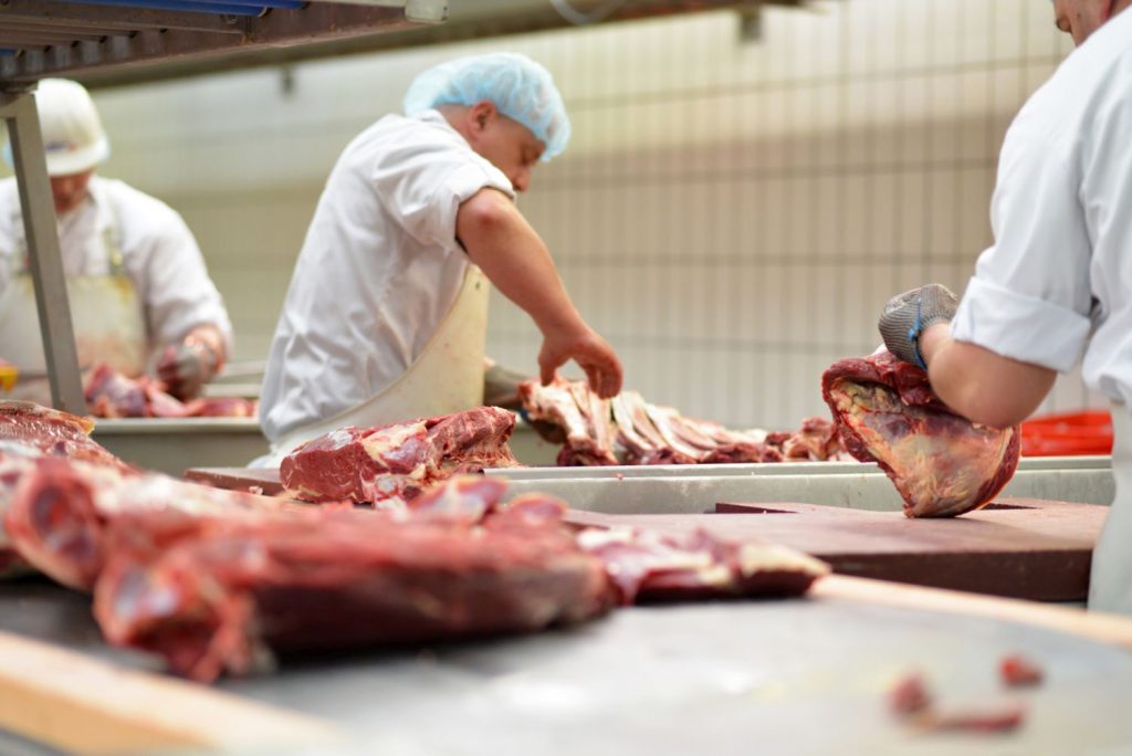 Fleisch