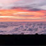 Erlebnisreisen zu den schönsten Plätzen der Welt kann man auch schon nachhaltig planen und somit die Natur weniger belasten