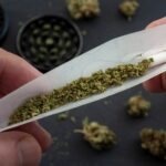 Grund 3: Konsumenten werden nicht mehr kriminalisiert