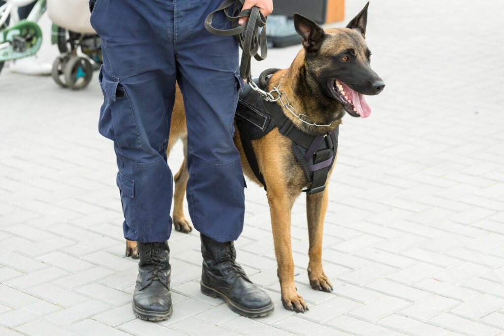 Grund 6: Entlastung von Polizei und Justiz