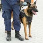 Grund 6: Entlastung von Polizei und Justiz