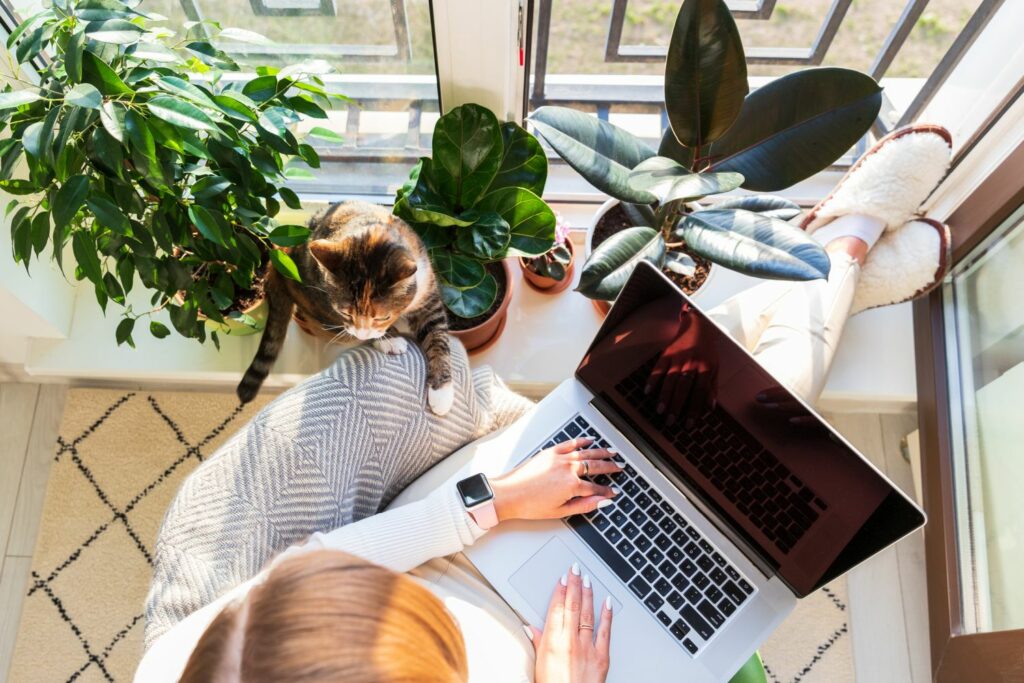 Das Home-Office...
