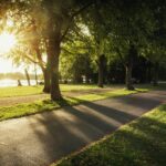 Hannover: Eilenriede und Maschsee