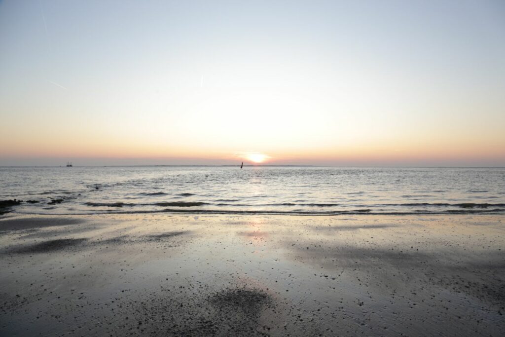 Norderney: Januskopf