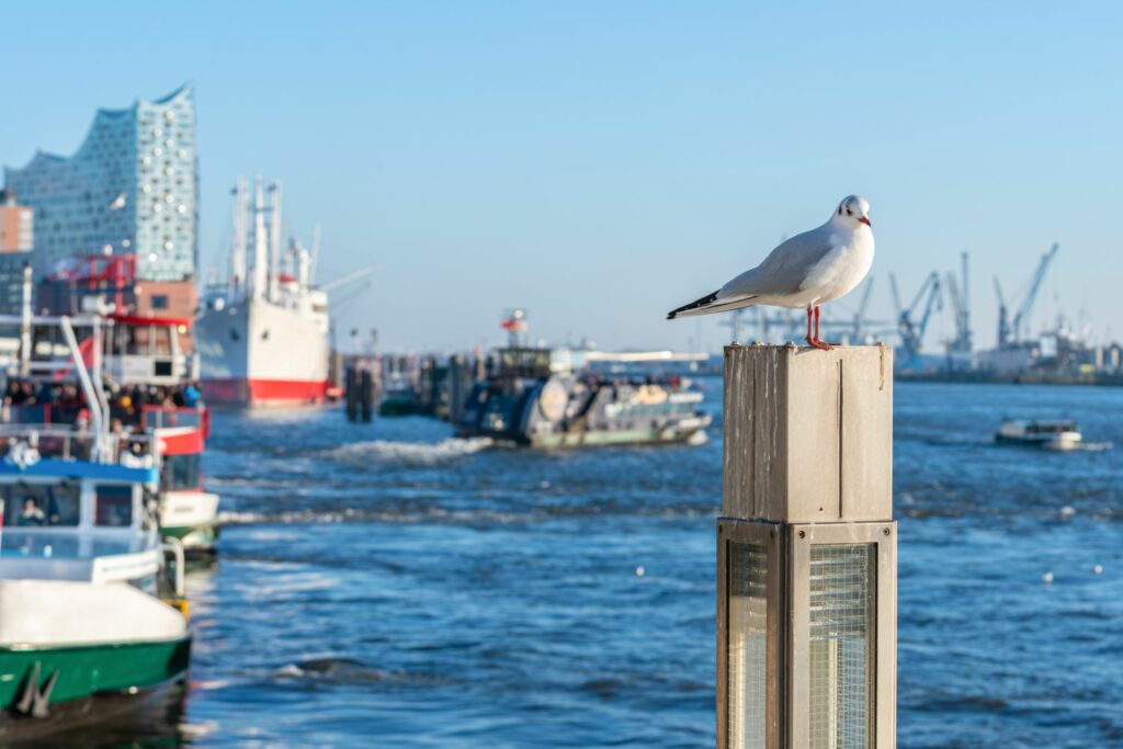 Hamburg: Hafen