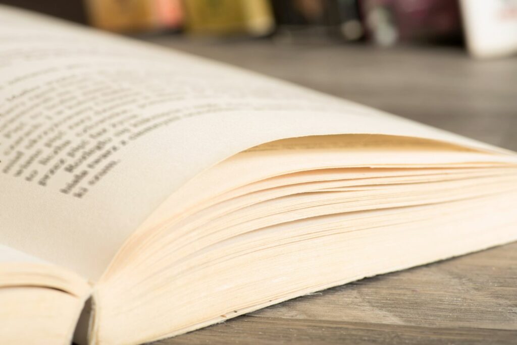 Den Startschuss für die Buch-Saison...