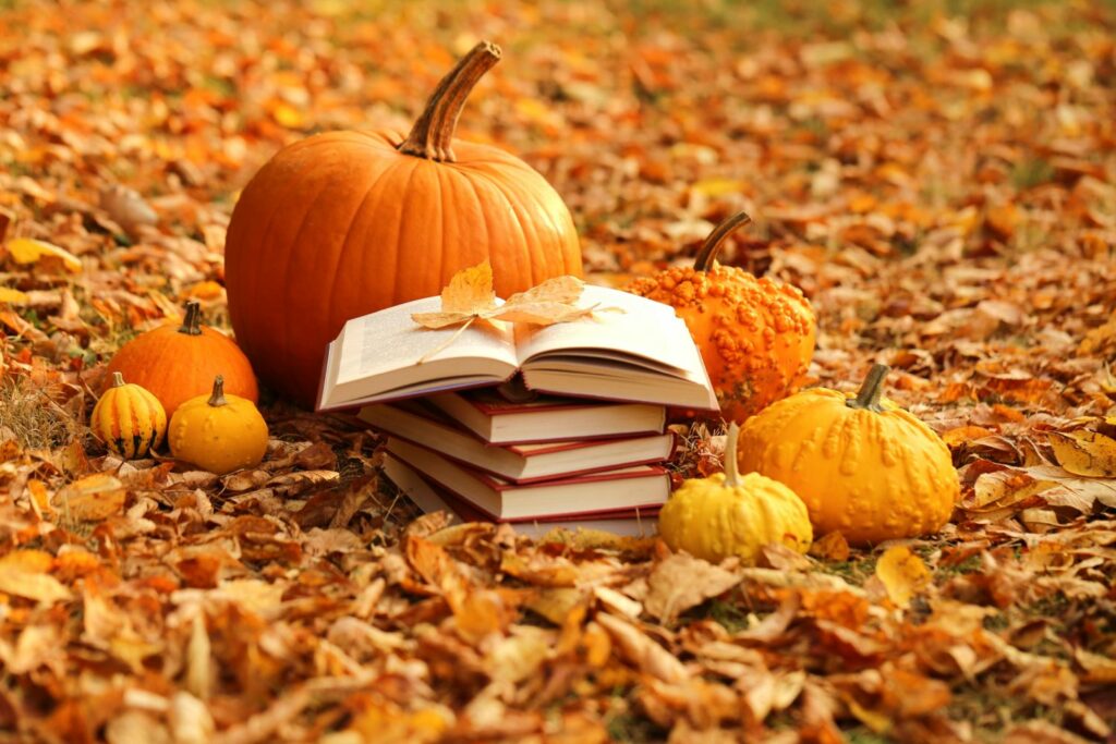 Stephen King: Holly