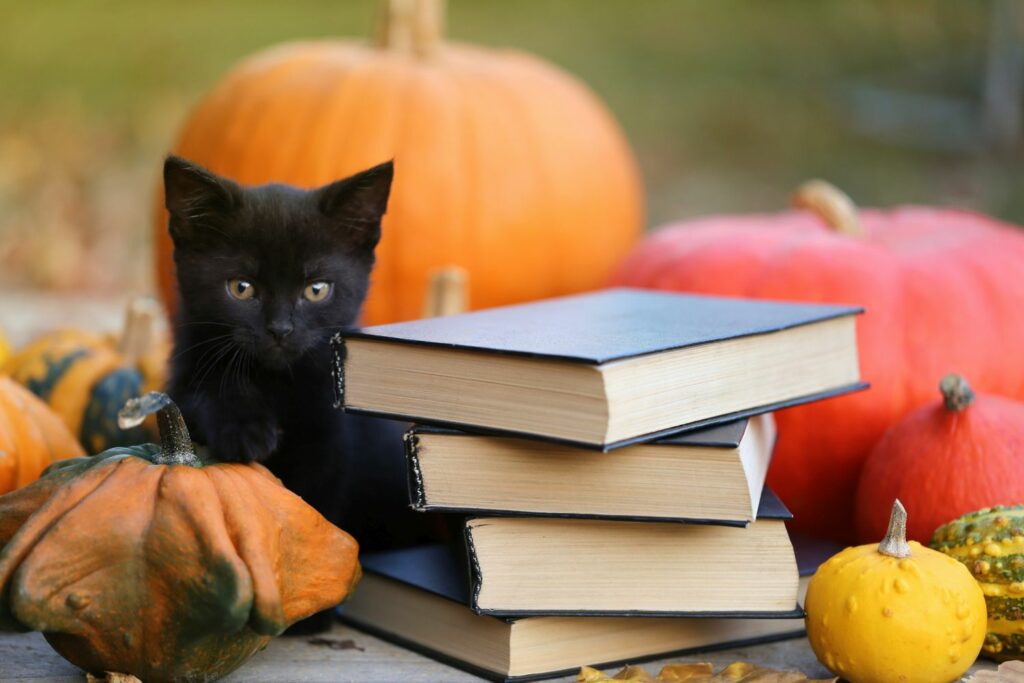 Der Buchheim Verlag...