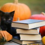 Der Buchheim Verlag...