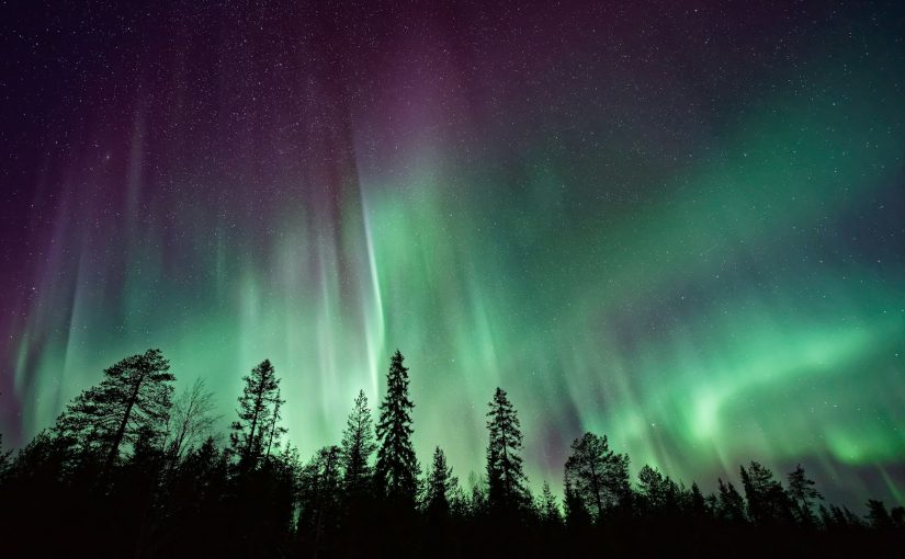 Nordlichter über Dänemark? Die besten Orte für Sternengucker und Naturfreunde